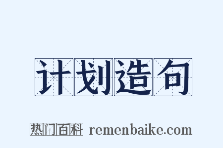 计划造句是什么意思的图片